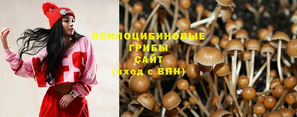соль ск Алзамай