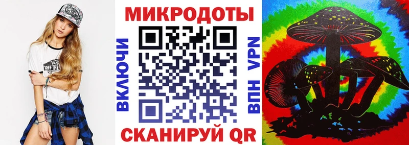Псилоцибиновые грибы Psilocybe  купить наркотики цена  Соликамск 